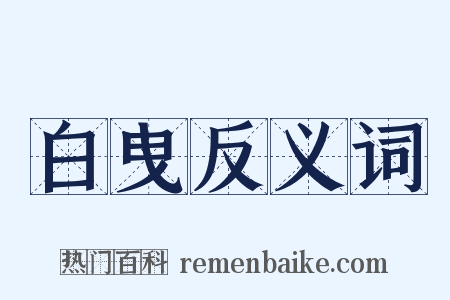 白曳反义词是什么意思的图片